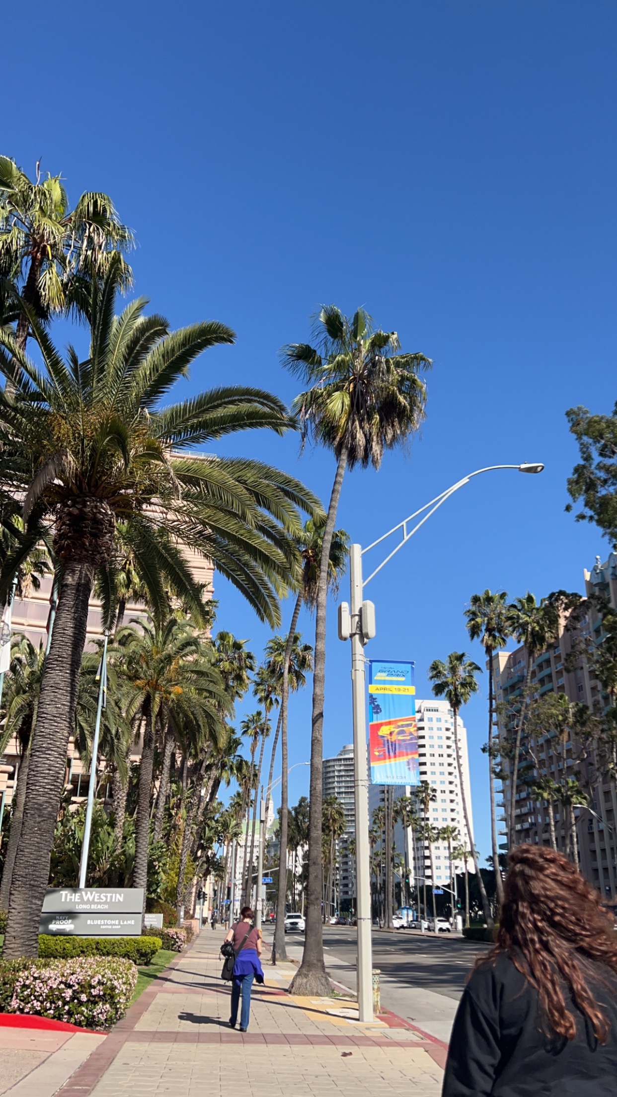 Several people walking on a sidewalk under palm trees